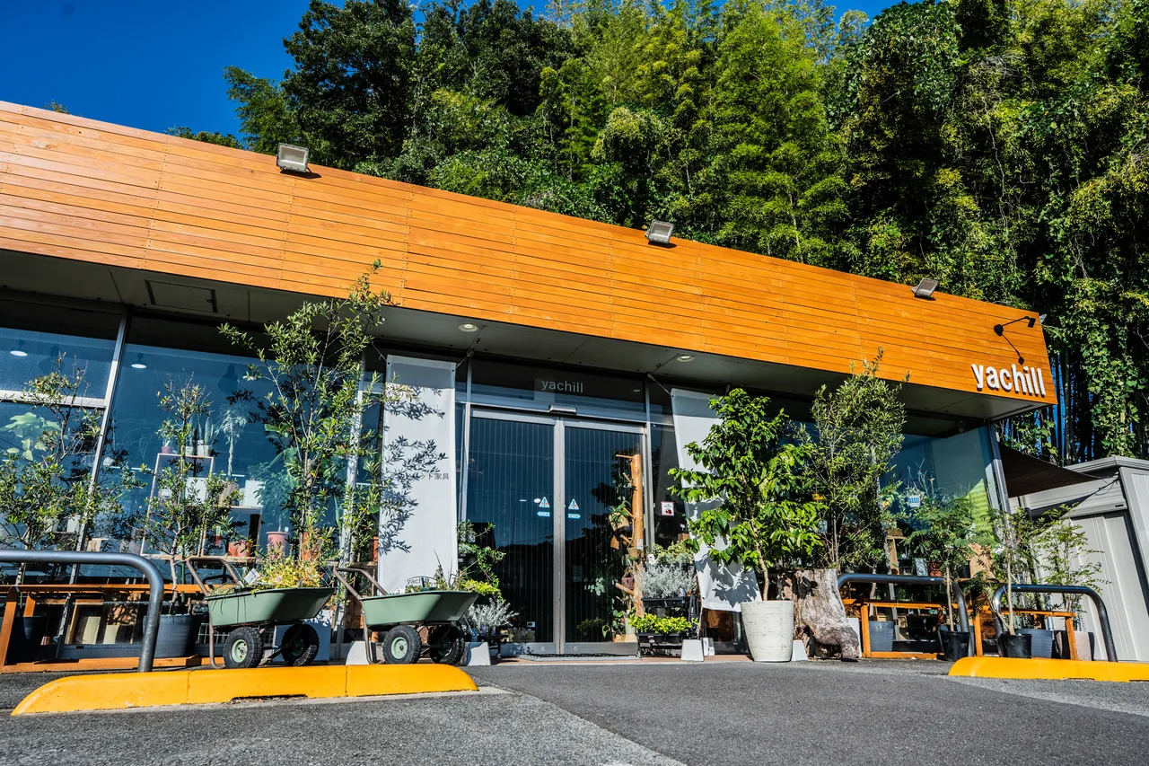 木の看板と入口の植物が見えるyachillの店舗外観